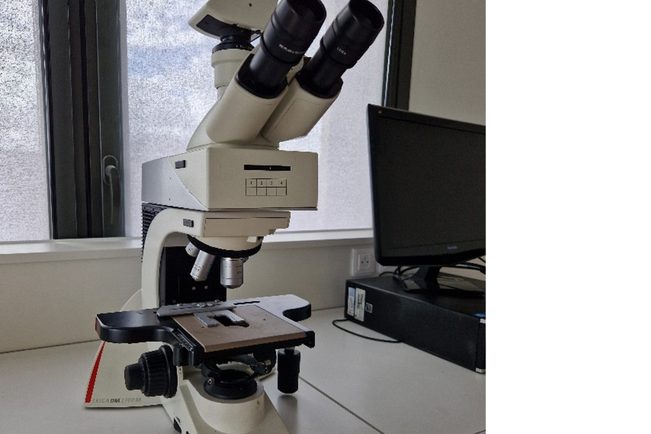 Microscope optique / Optical microscope